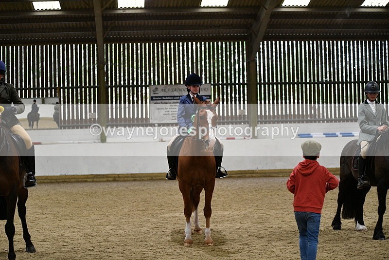 WJ5_8083 - Class 13 Ridden Part Breed