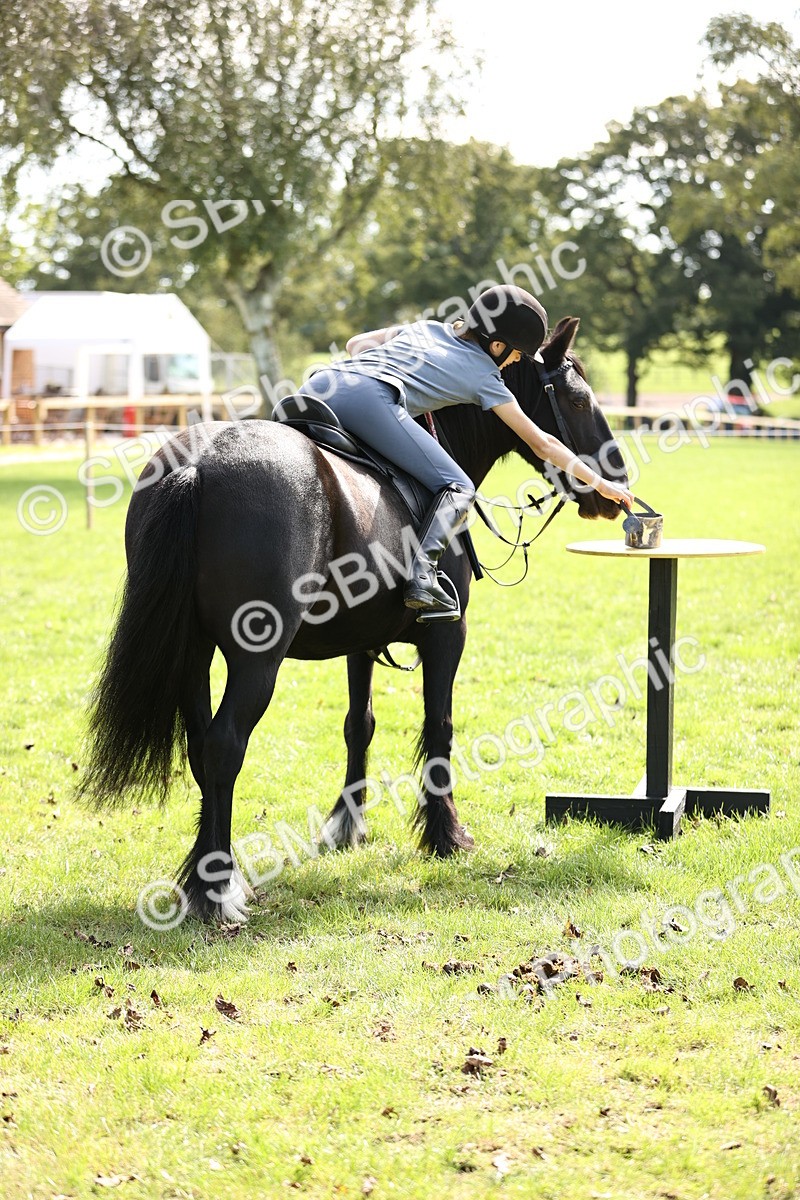 SBM_22969 - S4 - Have a Go at Working Equitation