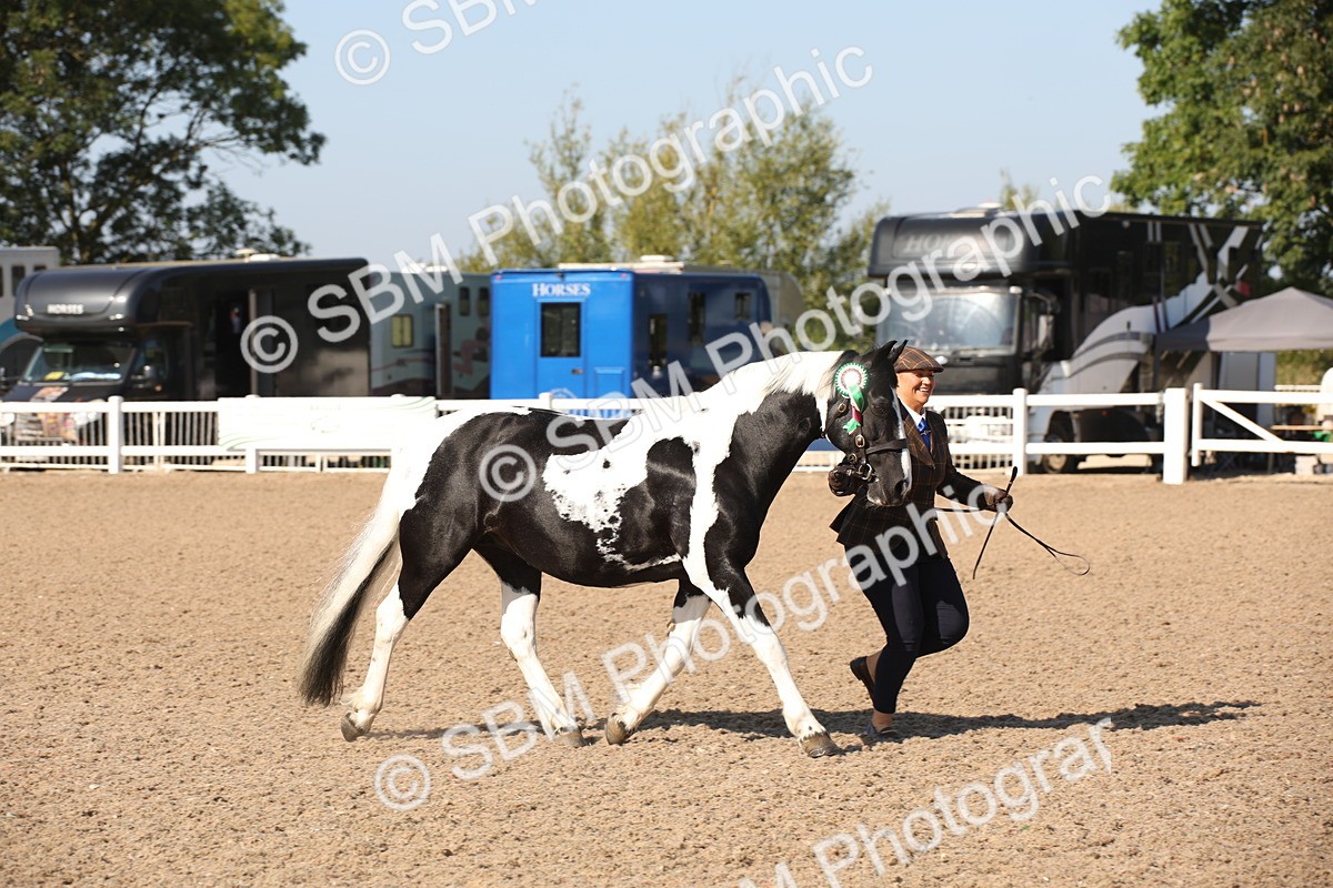 SBM_01577 - Class 15 IH Coloured