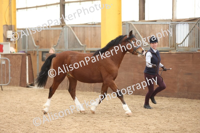 20251109-0906 - Class 26 - 2 and 4 Year Olds