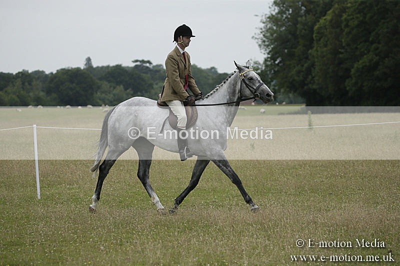B230619-0931 - Bourne Valley Riding Club Summer Show 23/06/19