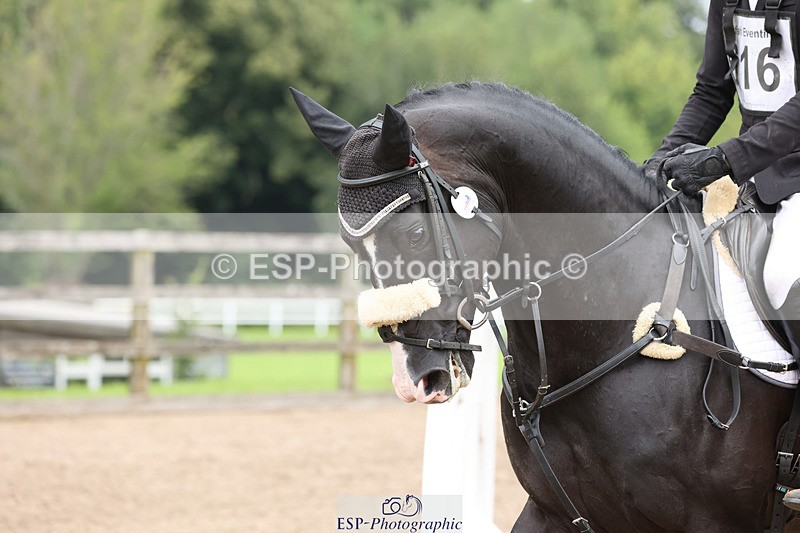 240804-142049-15816 - 616-Max_Forster-HEVANS_ROYAL_REVOLUTION