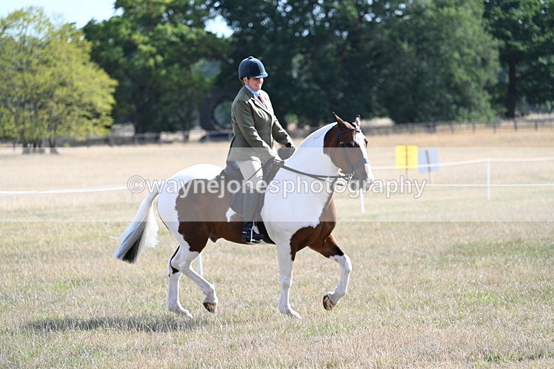 WJ7_2825 - Class 8 Ridden Tack & Turnout