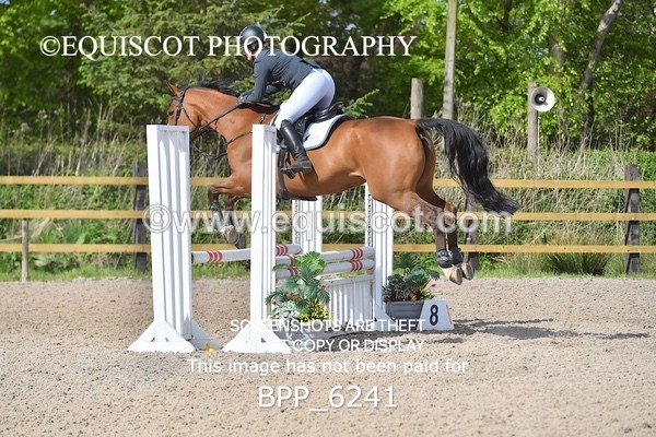 BPP_6241 - CLASS 32 MON Club/ Unaffiliated 80cms Open