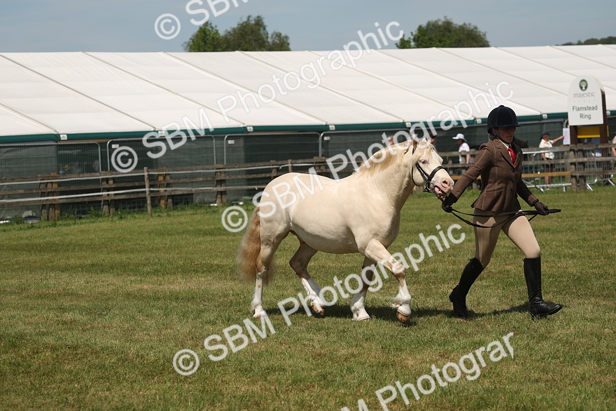 SBM_06970 - Class 26-30 - Mountain and Moorland Ridden