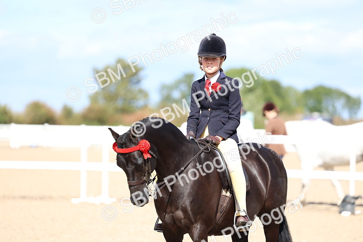 SBM_13339 - Class 311 - Ridden Show Pony Show Hunter Pony