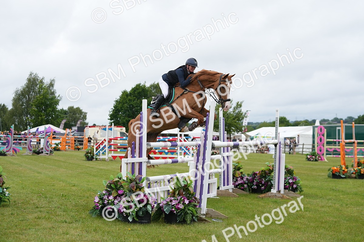 SBM_03280 - Class 201 - British Horse Feeds Speedi Beet Horse of the Year Show Grade  C