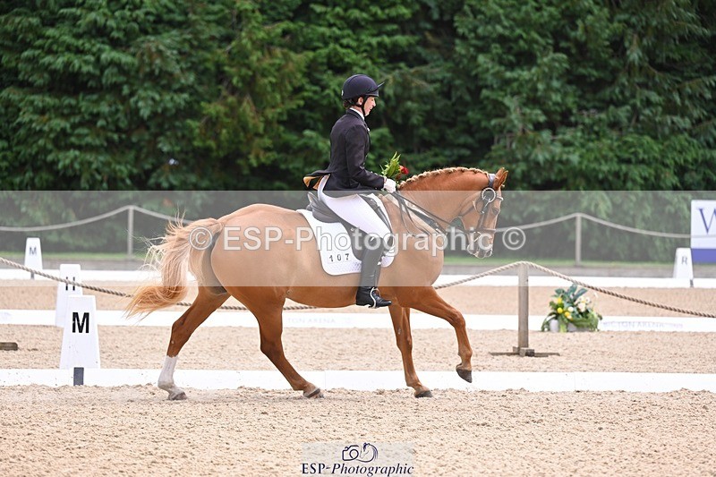 240809-131746-01064 - Preliminary Silver