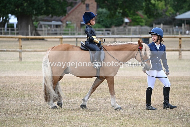 WJ6_8813 - Class 11 Fancy Dress