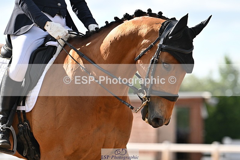 240622A-173952-15370 - Cls 7B+C Elementary 44 RoR