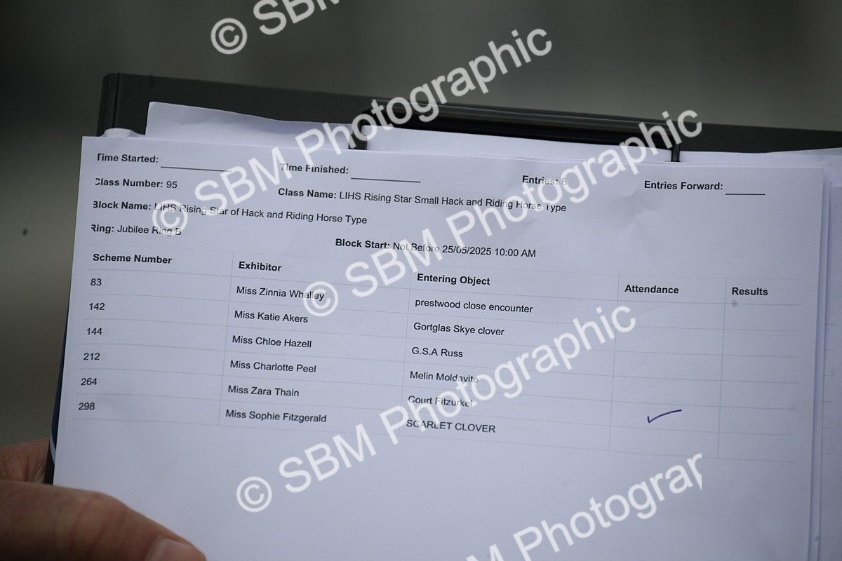 SBM_11496 - Class 95-96 - LIHS BSHA Rising Star Hack Riding Horse