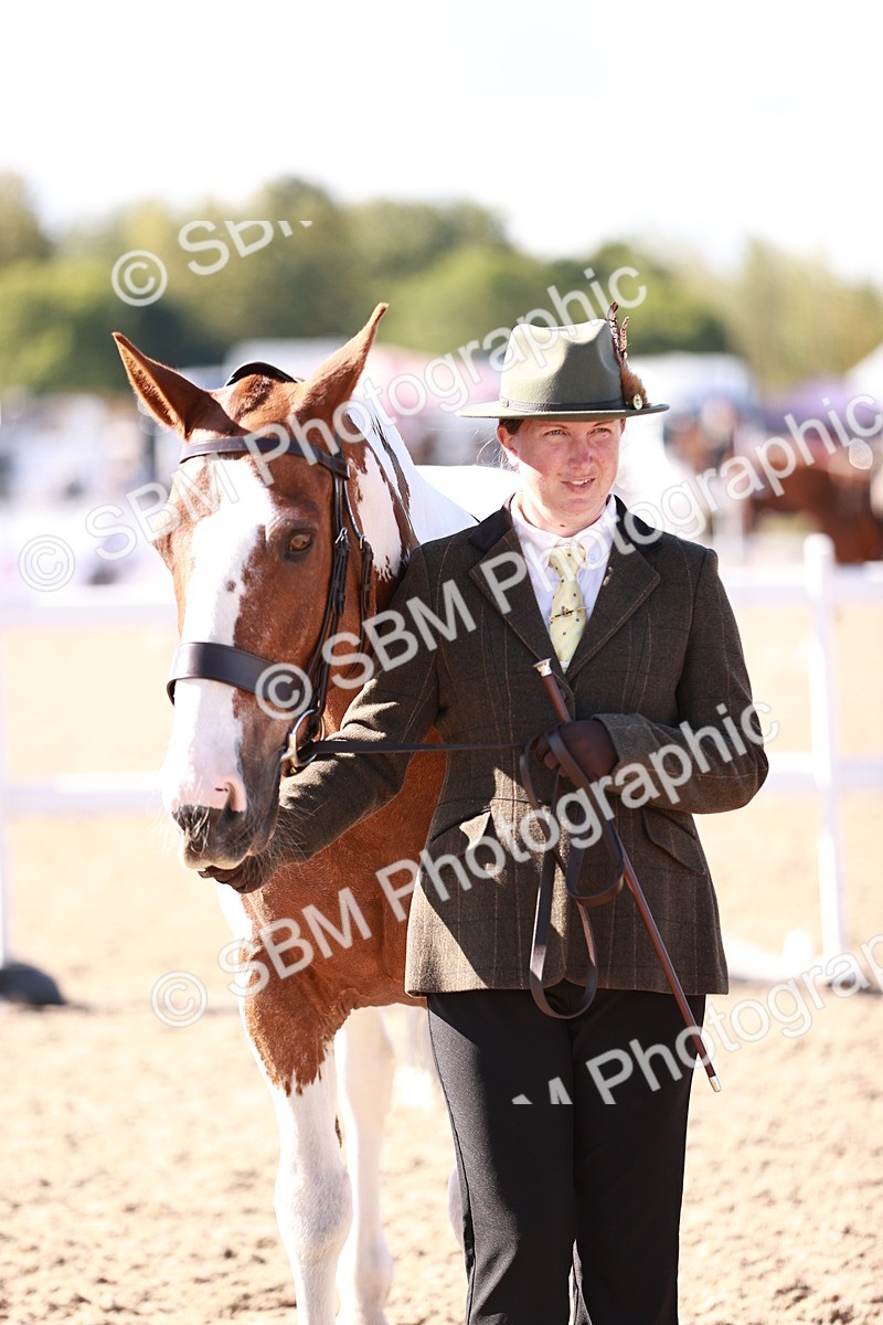 SBM_13246 - Class 405 - IH Show Cob