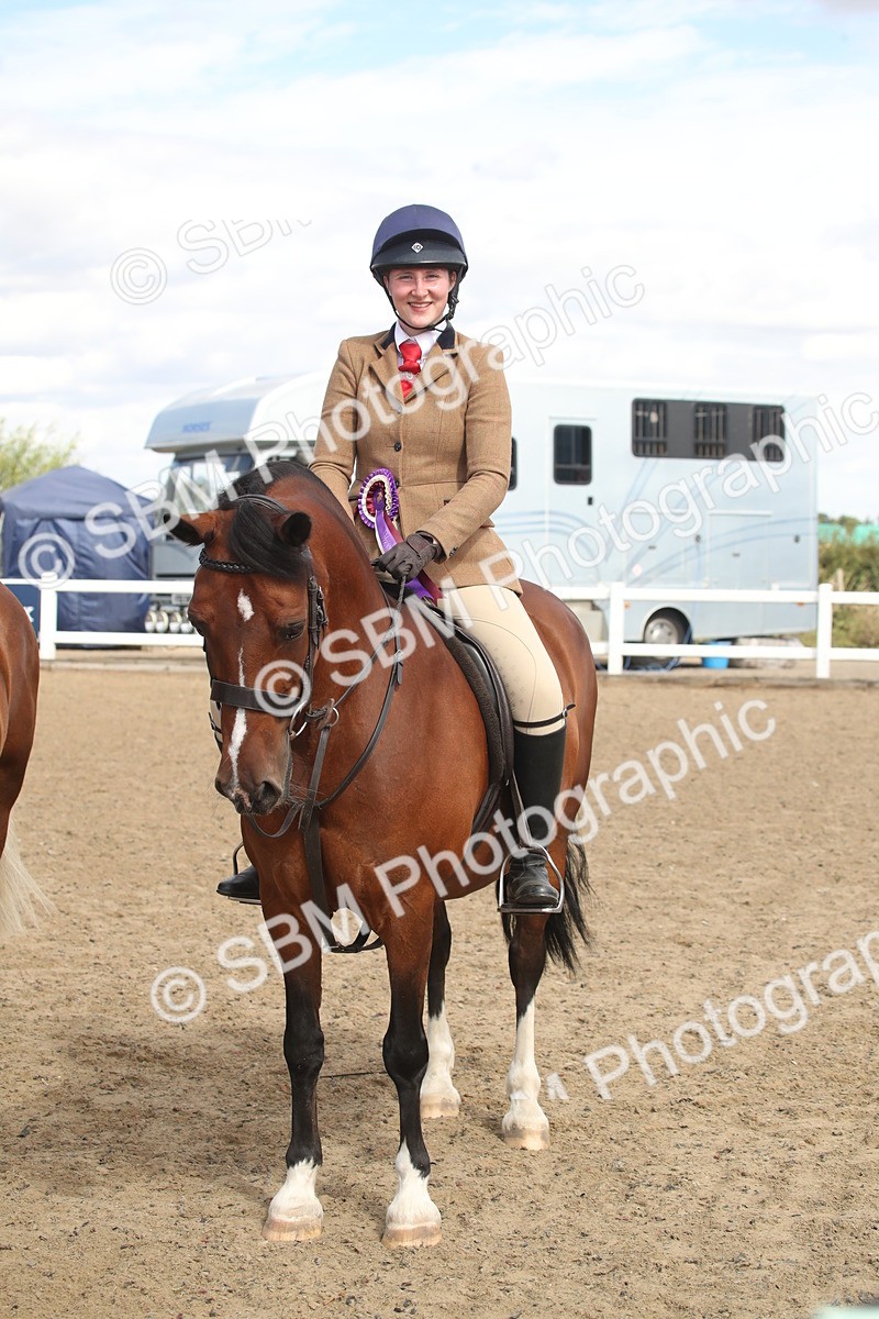 SBM_14603 - Class 505a - M&M Working Veteran - 50cm (15-19)