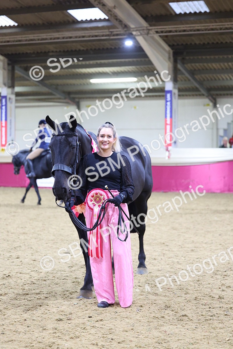 SBM_19185 - Class I Competition/ Riding Club Champ