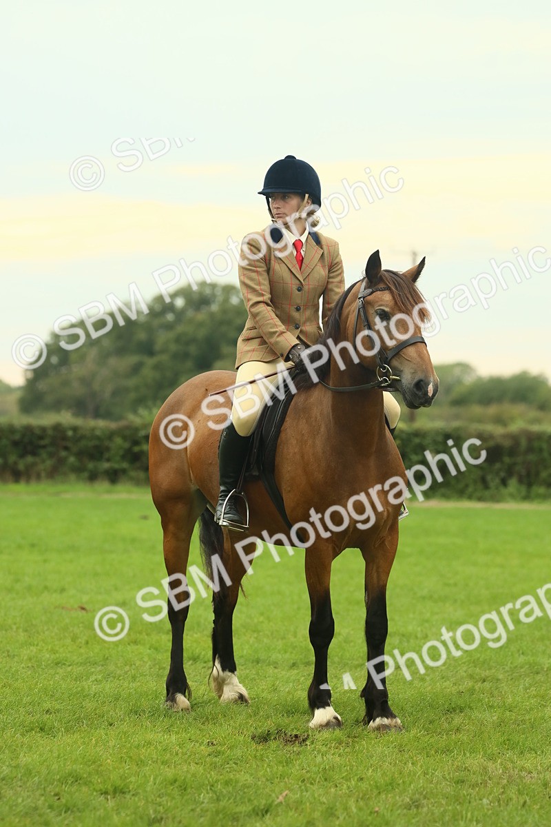 SBM_72233 - S60 - Mountain & Moorland Ridden Large Breeds