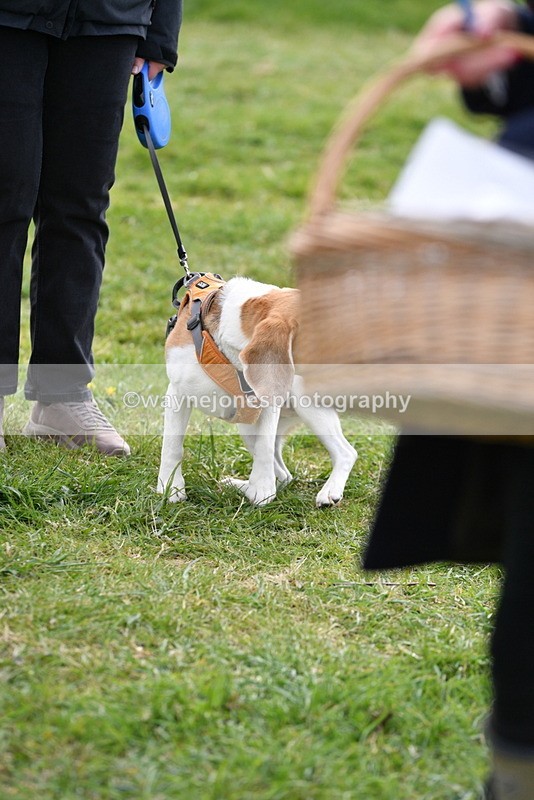 WJ5_0181 - Class 5 Best Veteran / 7 years & over