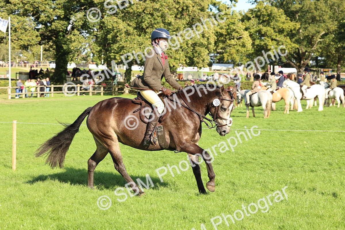 SBM_50111 - S34 - Novice & Newcomers Working Hunter