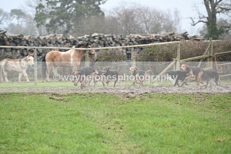 WJ6_5872 - Camera A