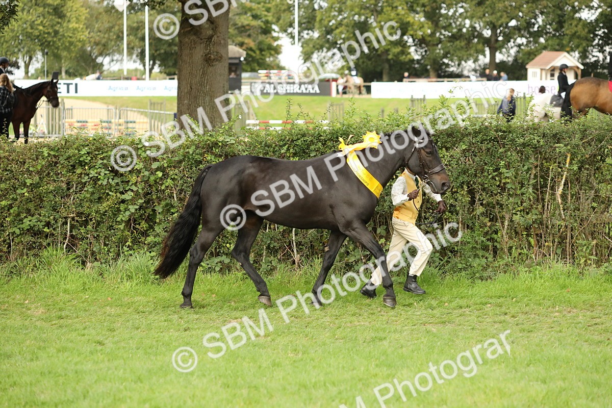 SBM_75357 - Equitation Supreme Championship
