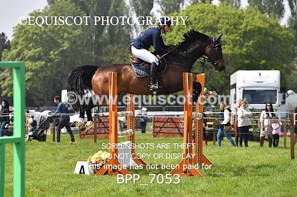 BPP_7053 - CLASS 3 RHS Fox Champ Qual (1.20m)