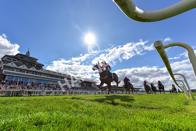 140926-Race 1-Satyress-2 - Race 1 2.21pm Constant Security Services Apprentice Handicap