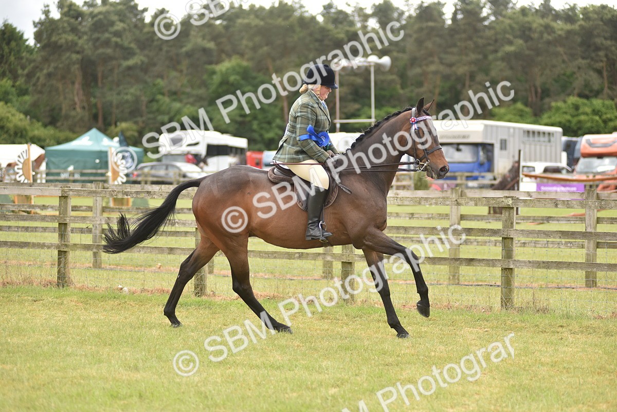 SBM_14286 - Class 113-114 - Retraining of Racehorses Ridden