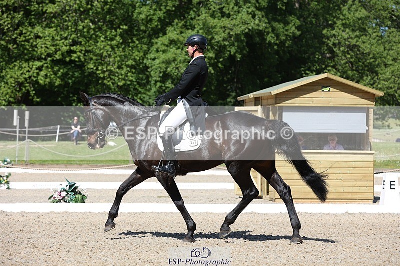 230526-103947-05303 - 363-RLE_KHALEESI_C-Christopher_Wincer-WEDTrotUp+DR