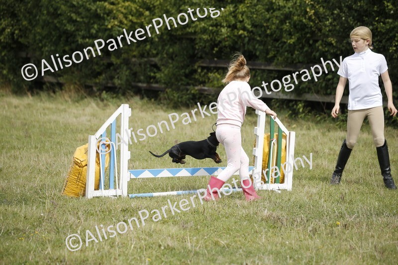 20250831-3905 - Dog Show