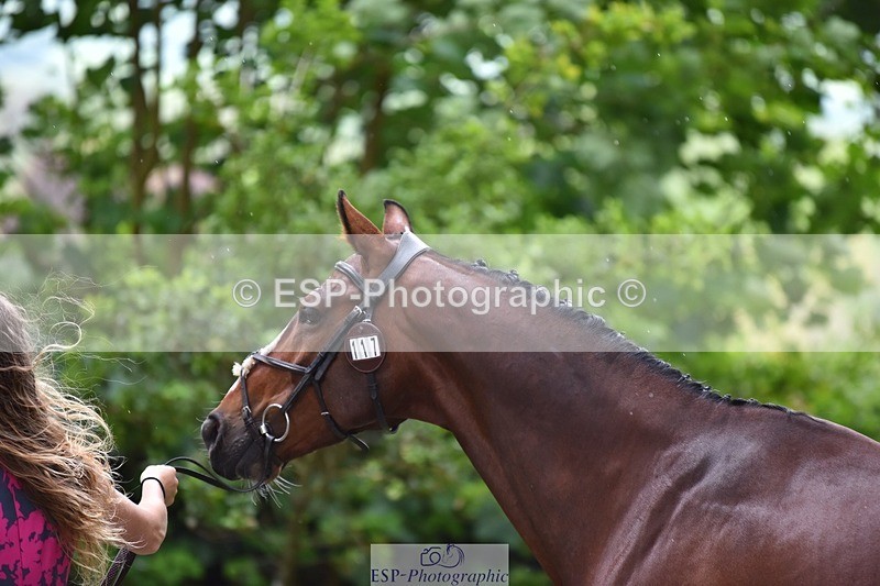 240522-160308-00680 - 117-KASAGRANDE_VR-Gemma_Watts