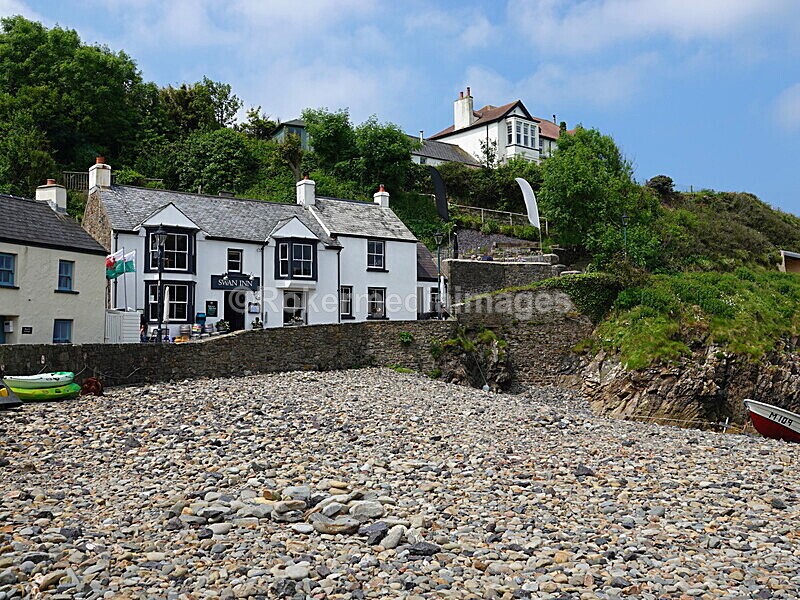 DSC00136 - Skomer 2019