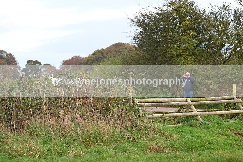 WJ7_0367 - Camera 1 & Last fence