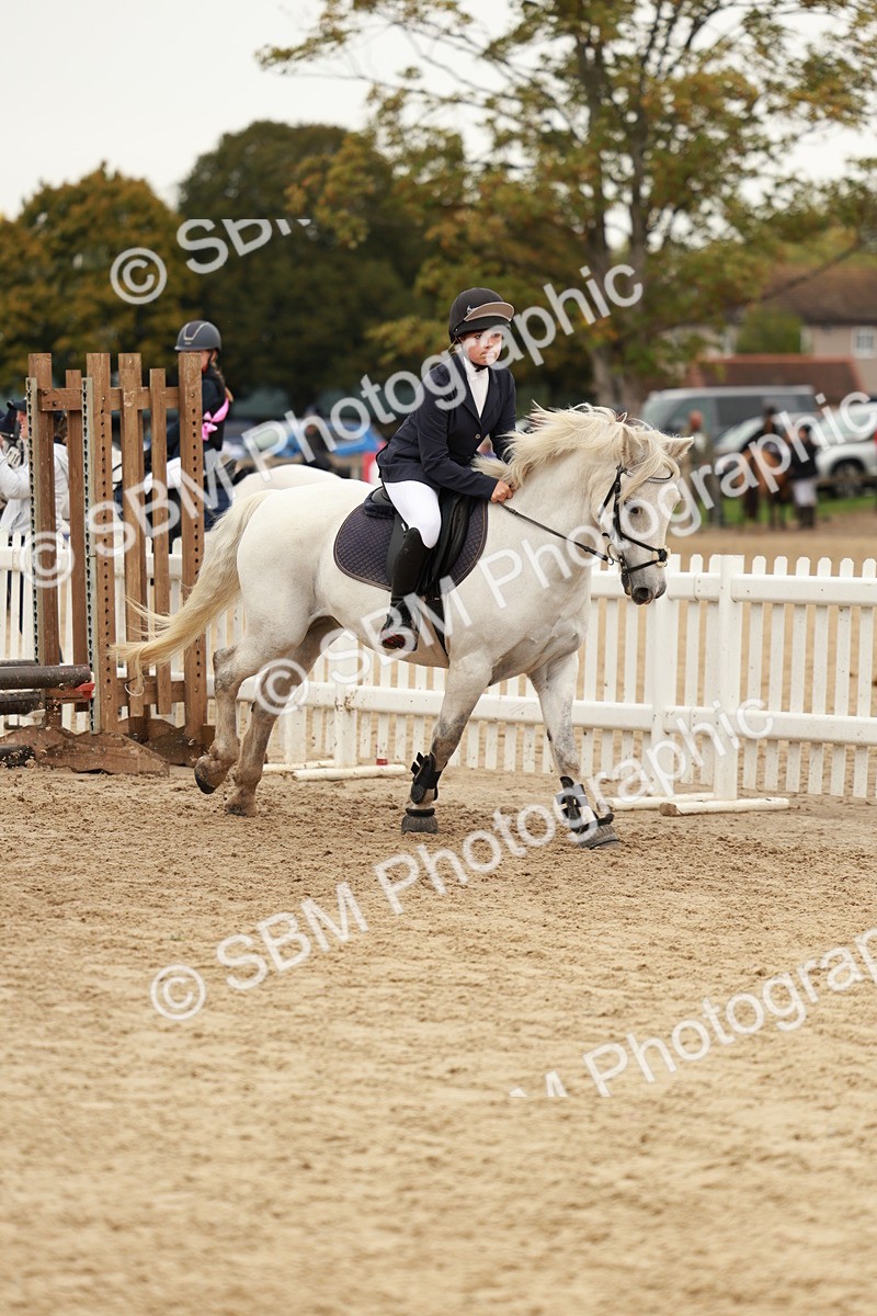 SBM_57900 - J11 - Junior Pony 50cm Championship