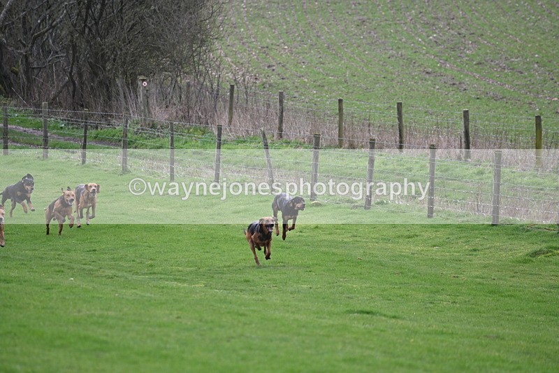 WJ6_8961 - Line Three