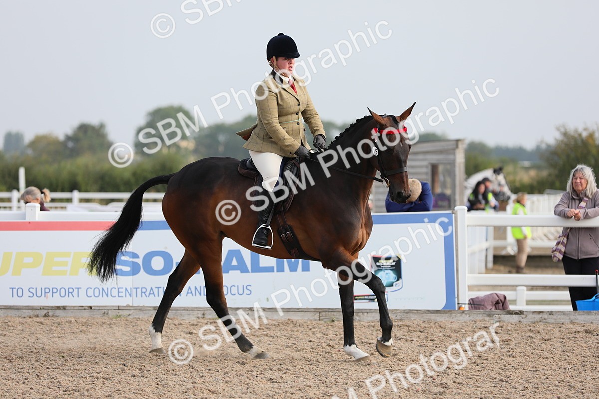SBM_10709 - Class 303 Ridden Pure Bred Horse/Pony (excl M&M)