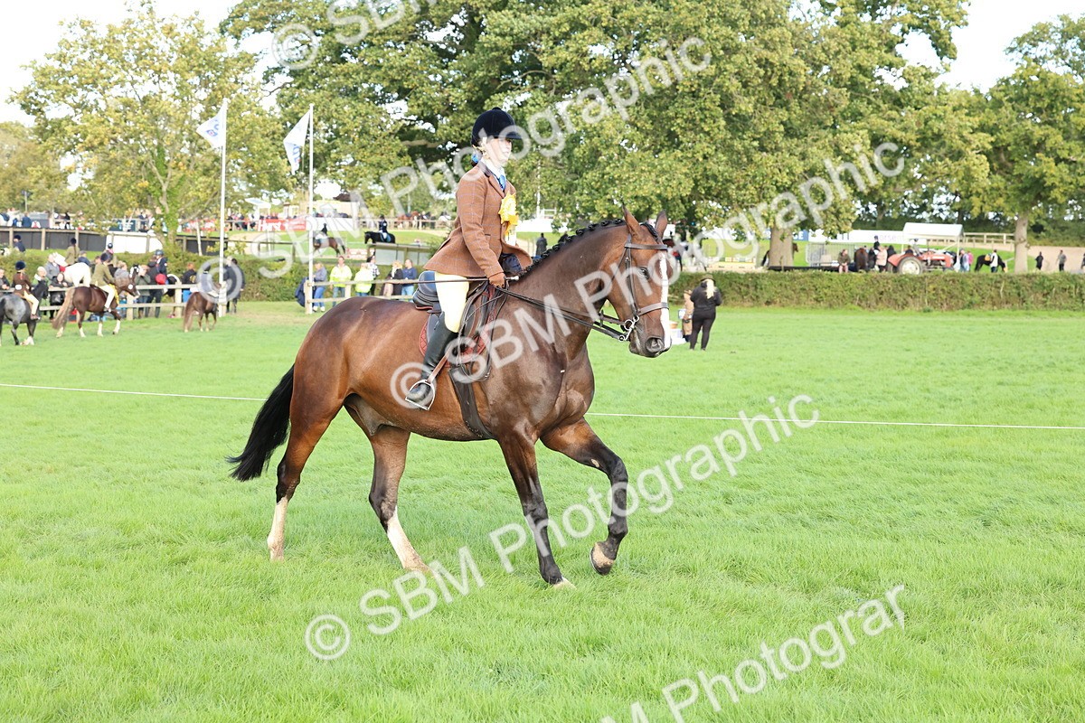 SBM_50223 - S34 - Novice & Newcomers Working Hunter