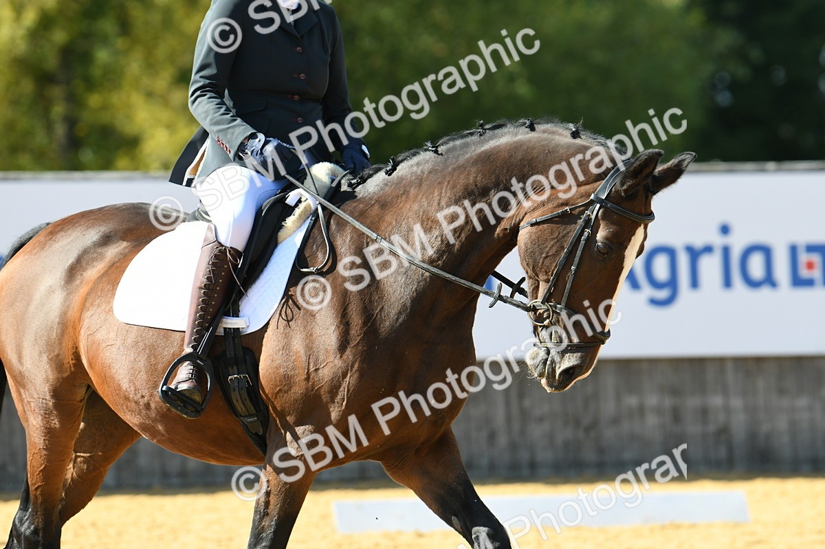 SBM_24914 - D13 - Grand Tour Championship - Prelim 12