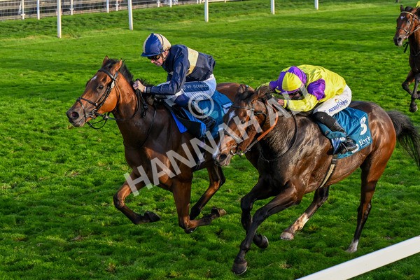 111025-Race 7-Lets Dream-0728 - Race 7 Coral 'Committed To Safer Gambling' Finale Handicap at York