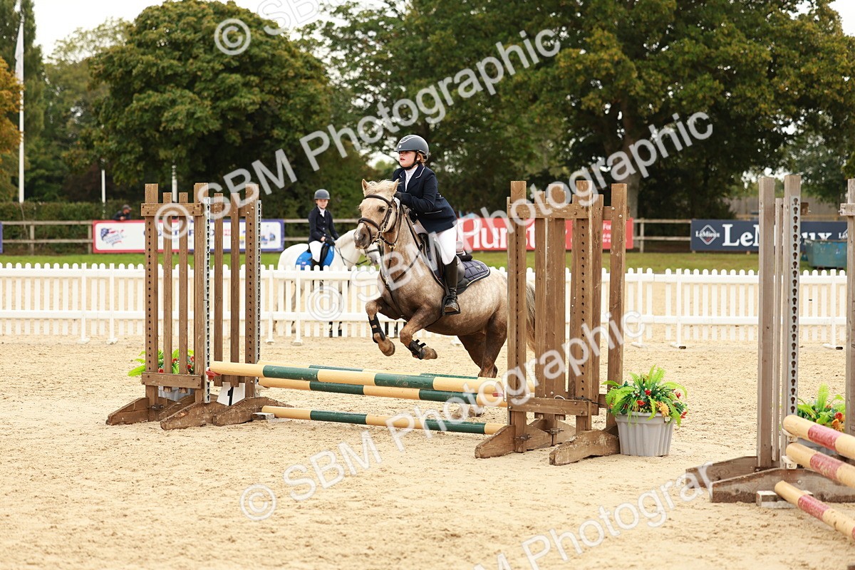 SBM_58002 - J11 - Junior Pony 50cm Championship