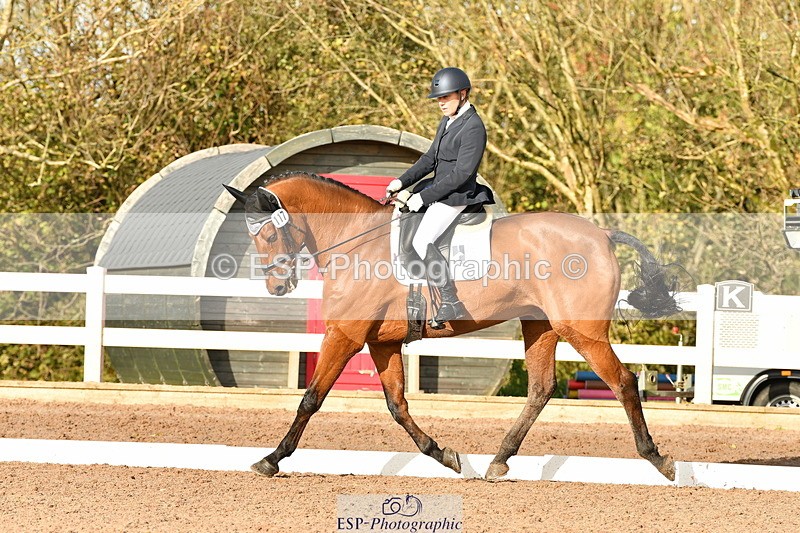 231104A-131704-00621 - Cls 11 Medium 75