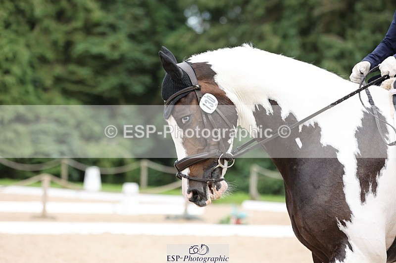 240721-165052-10475 - 130-Liz_Rivett-A_Blue_Eyed_Boy