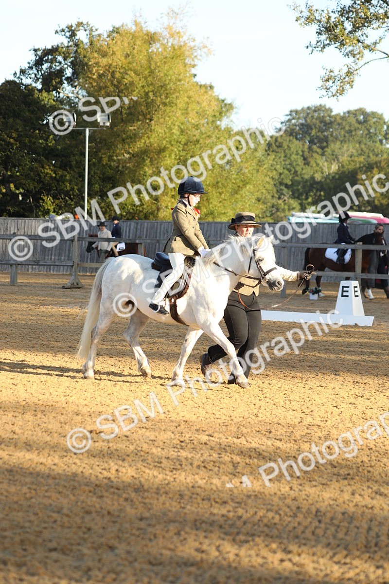 SBM_33586 - D26 - Starers - Lead Rein