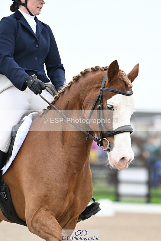 241103-090845-00121 - Intro 3 - 8.30 to 9.30