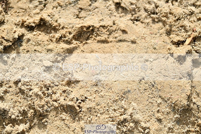 251004A-150723-01678 - Classes 8 & 9 70cm