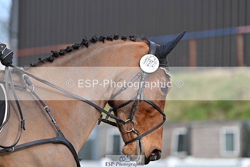 250125-125438-00512 - Dressage - CT Class 6 BE102