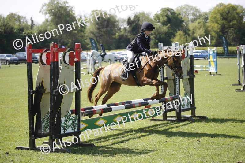 20250427-2267 - Class 13 - Novice Jumping 60cm