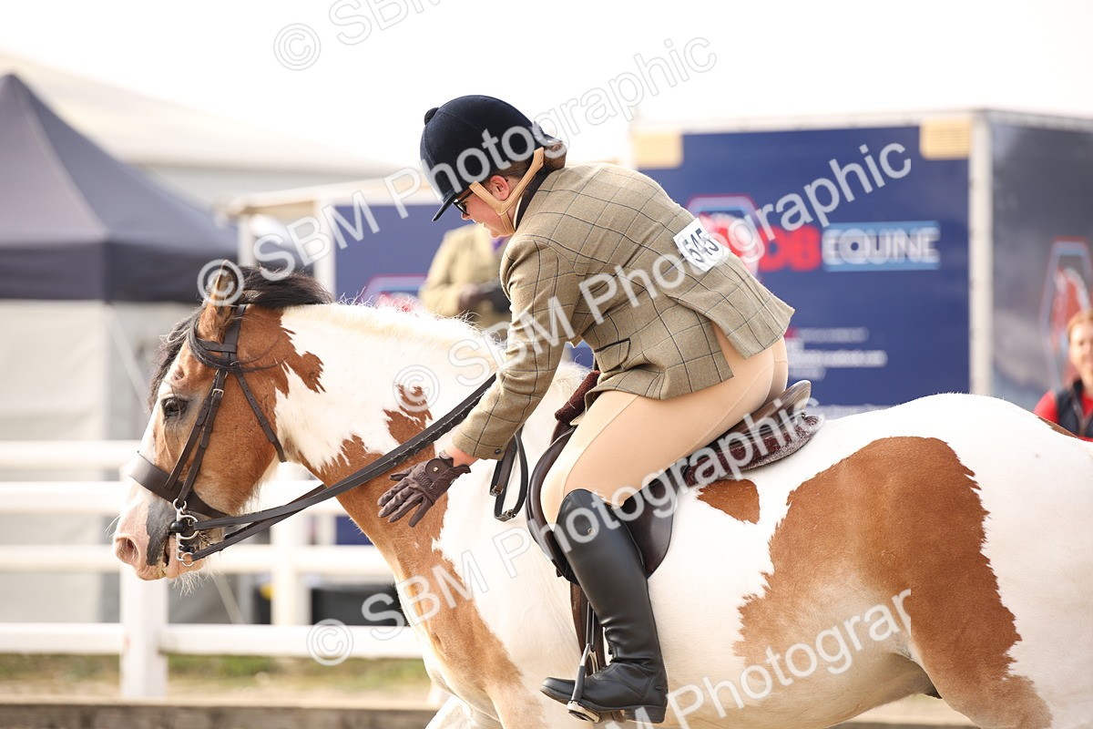 SBM_10269 - Class 402 Riding Club Horse