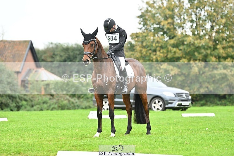 241024-144643-04366 - 584-Tommy.Greengard-I'M.ALL.IN