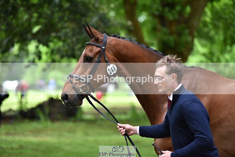 240522-170928-01427 - 241-CLASS_ROMANCE-Jack_Pinkney