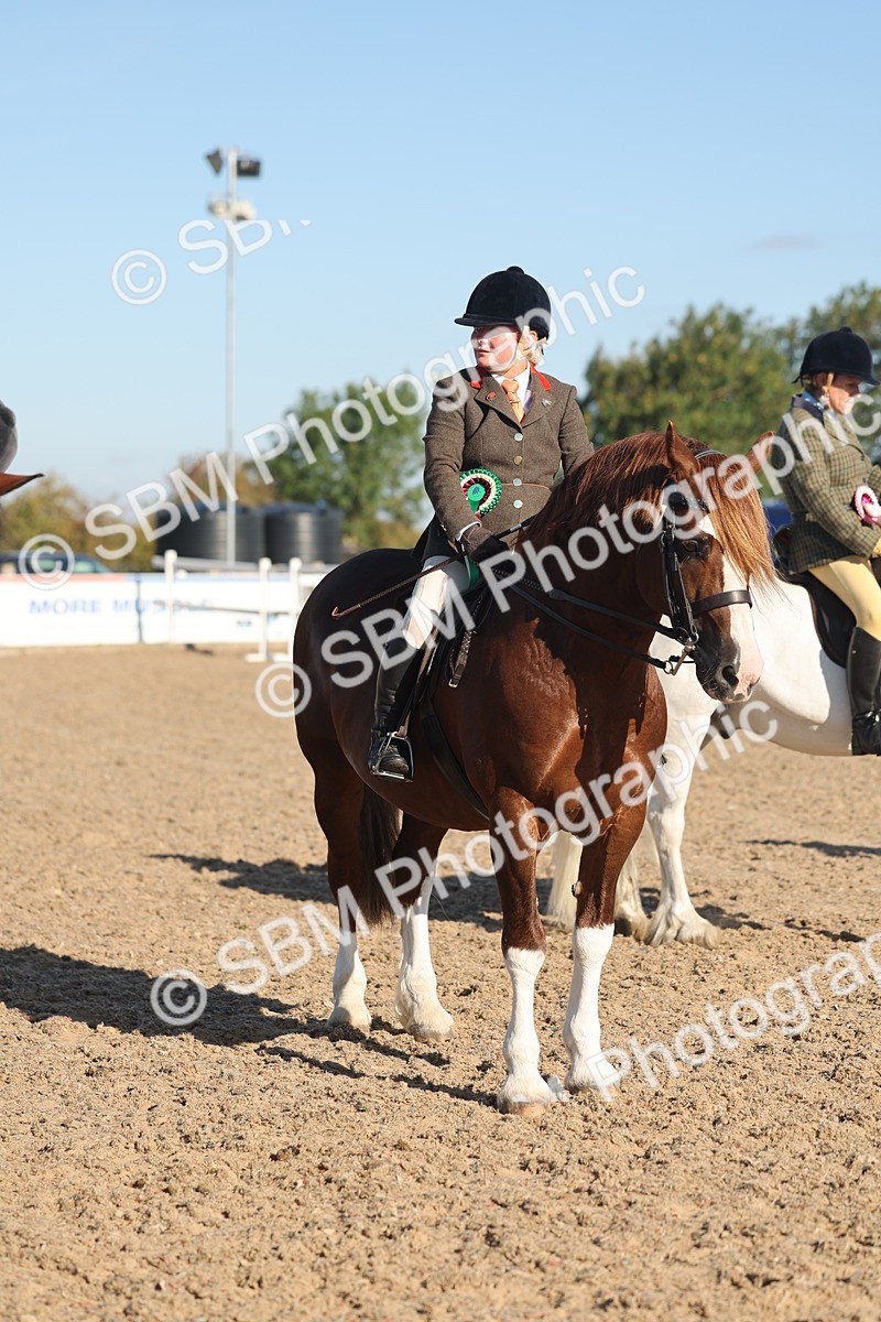 SBM_11134 - Class 302 - Ridden M&M Large Breeds