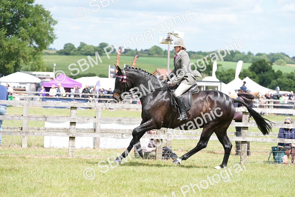 SBM_16189 - Class 105-106 - RIHS Riding Horses